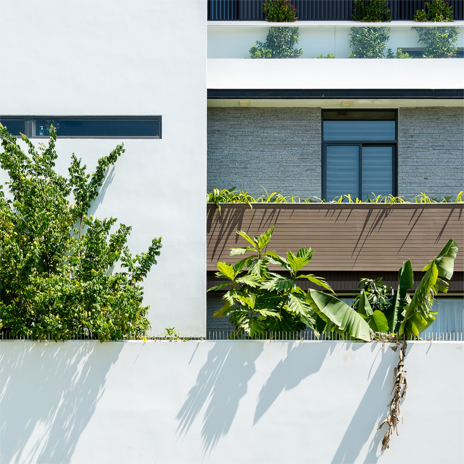 1b - Biệt thự phố kiến trúc hiện đại với không gian mở với nhiều cây xanh tại Nha Trang